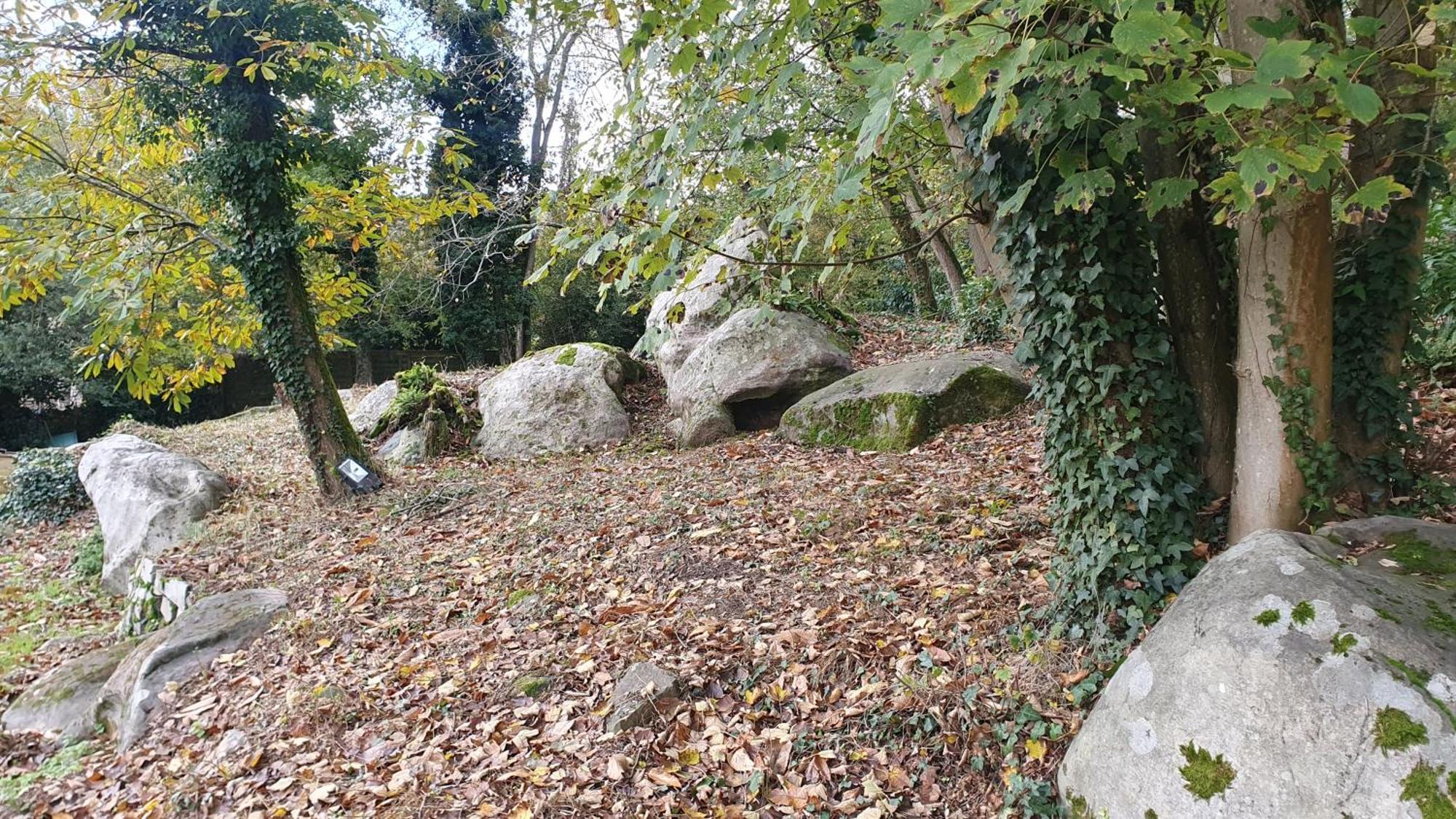 Le Jardin Des Roches Bed and Breakfast Moigny Eksteriør billede