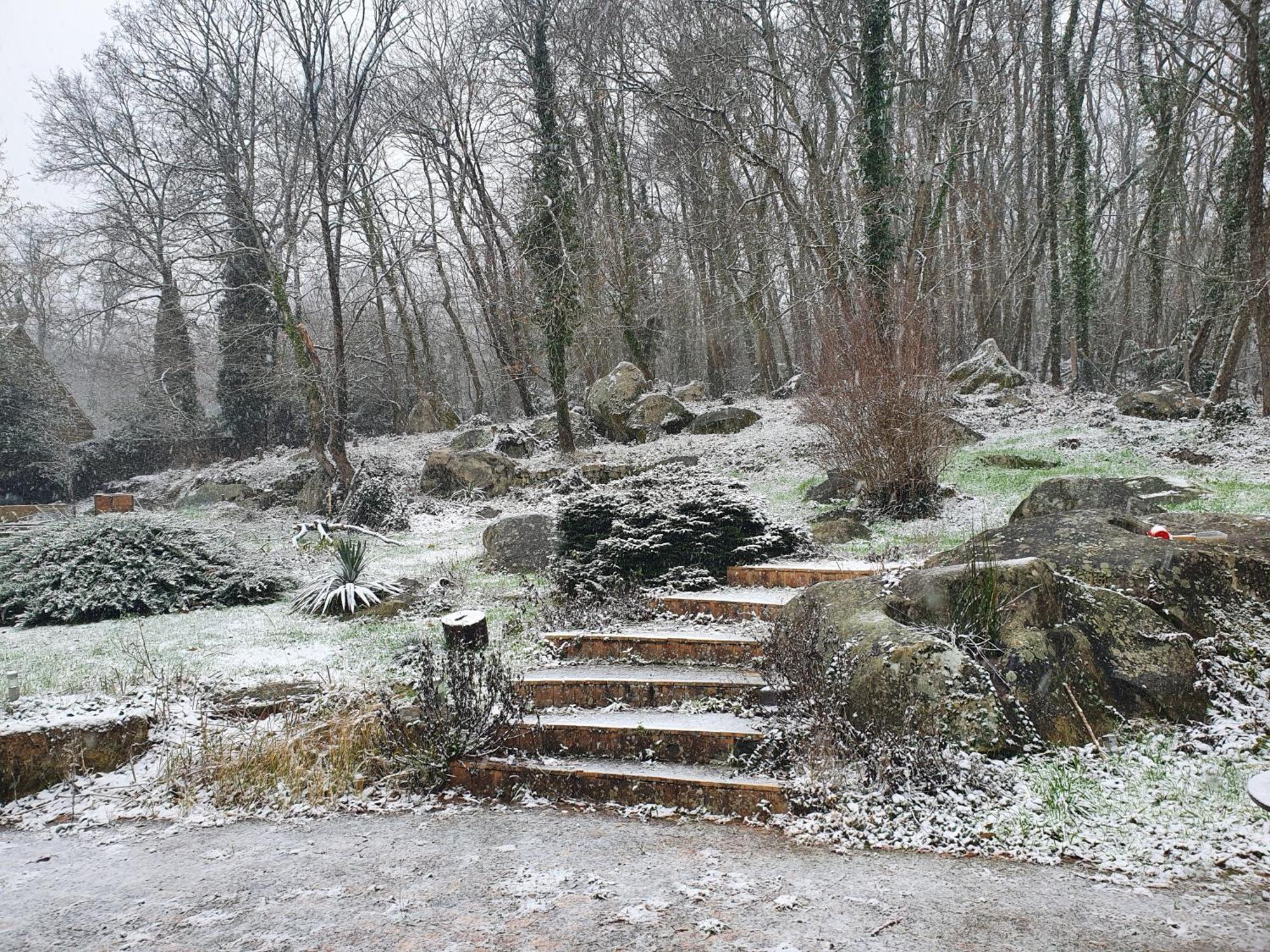 Le Jardin Des Roches Bed and Breakfast Moigny Eksteriør billede