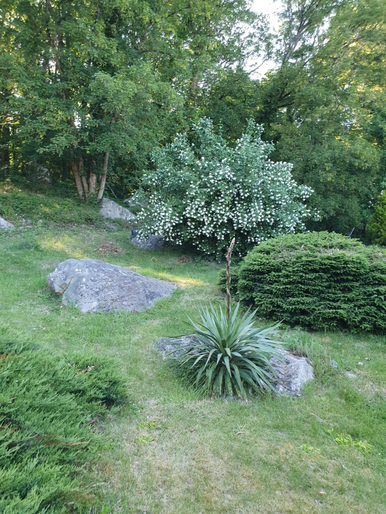 Le Jardin Des Roches Bed and Breakfast Moigny Eksteriør billede